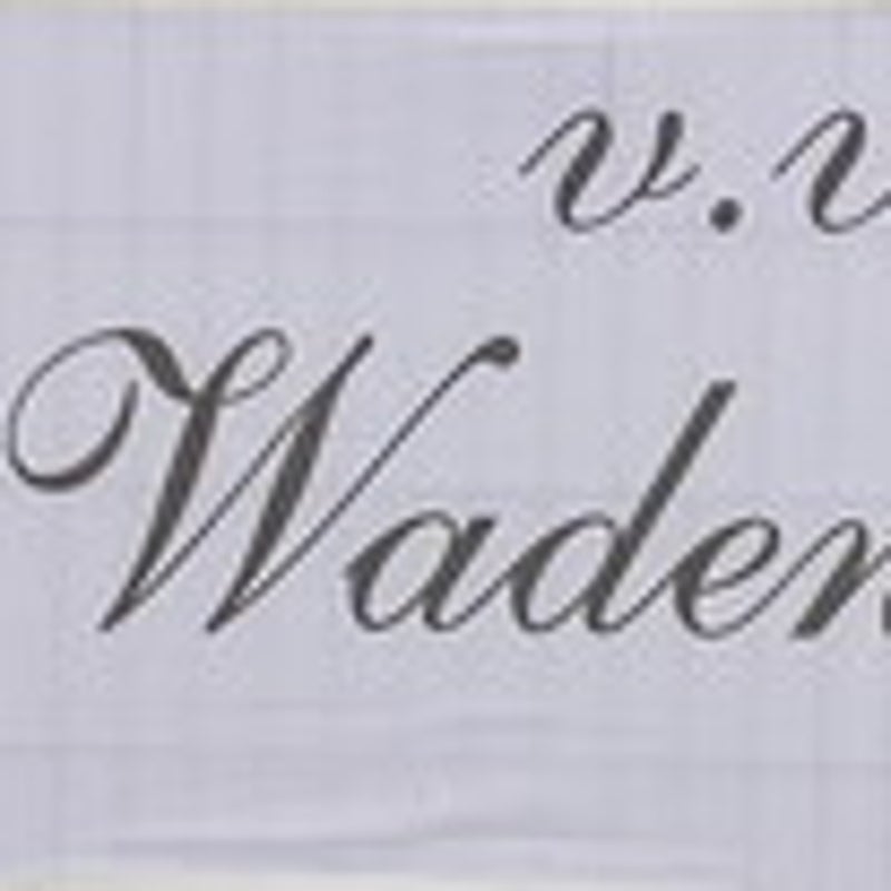 050819wadenoijen11.jpg