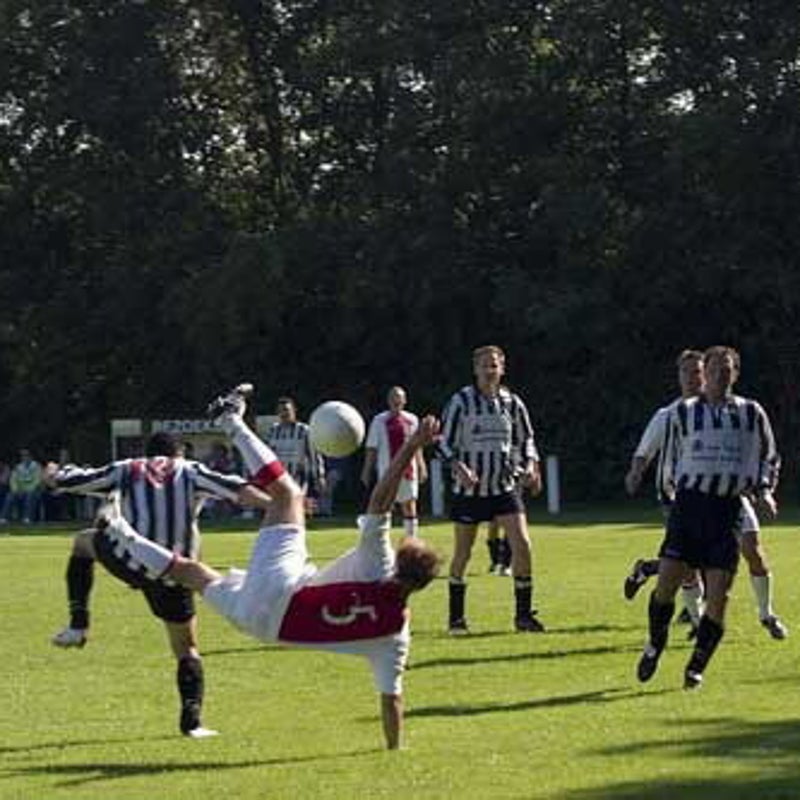 060819watervogels10.jpg