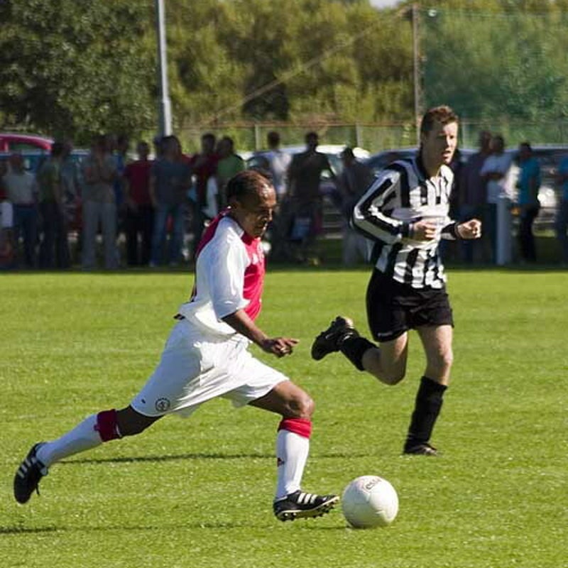 060819watervogels09.jpg