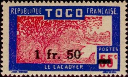 cocoa-plantation-12.jpg