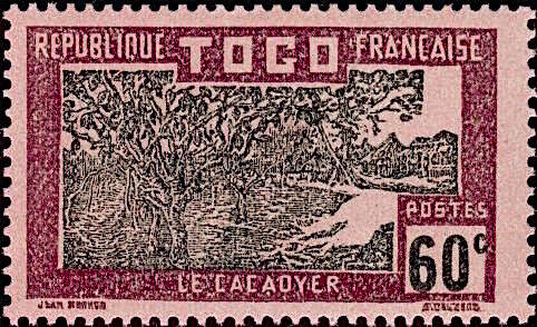 cocoa-plantation-7.jpg