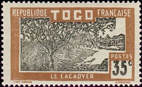 cocoa-plantation-8.jpg
