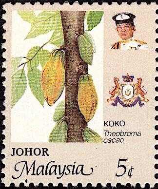cocoa-theobroma-cacao-2.jpg