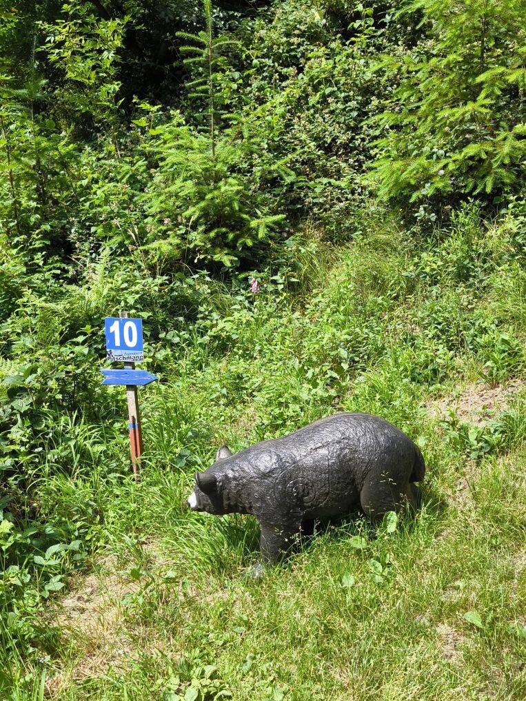 blau_parcours_20260620_010-standard-r8vwoa.jpg