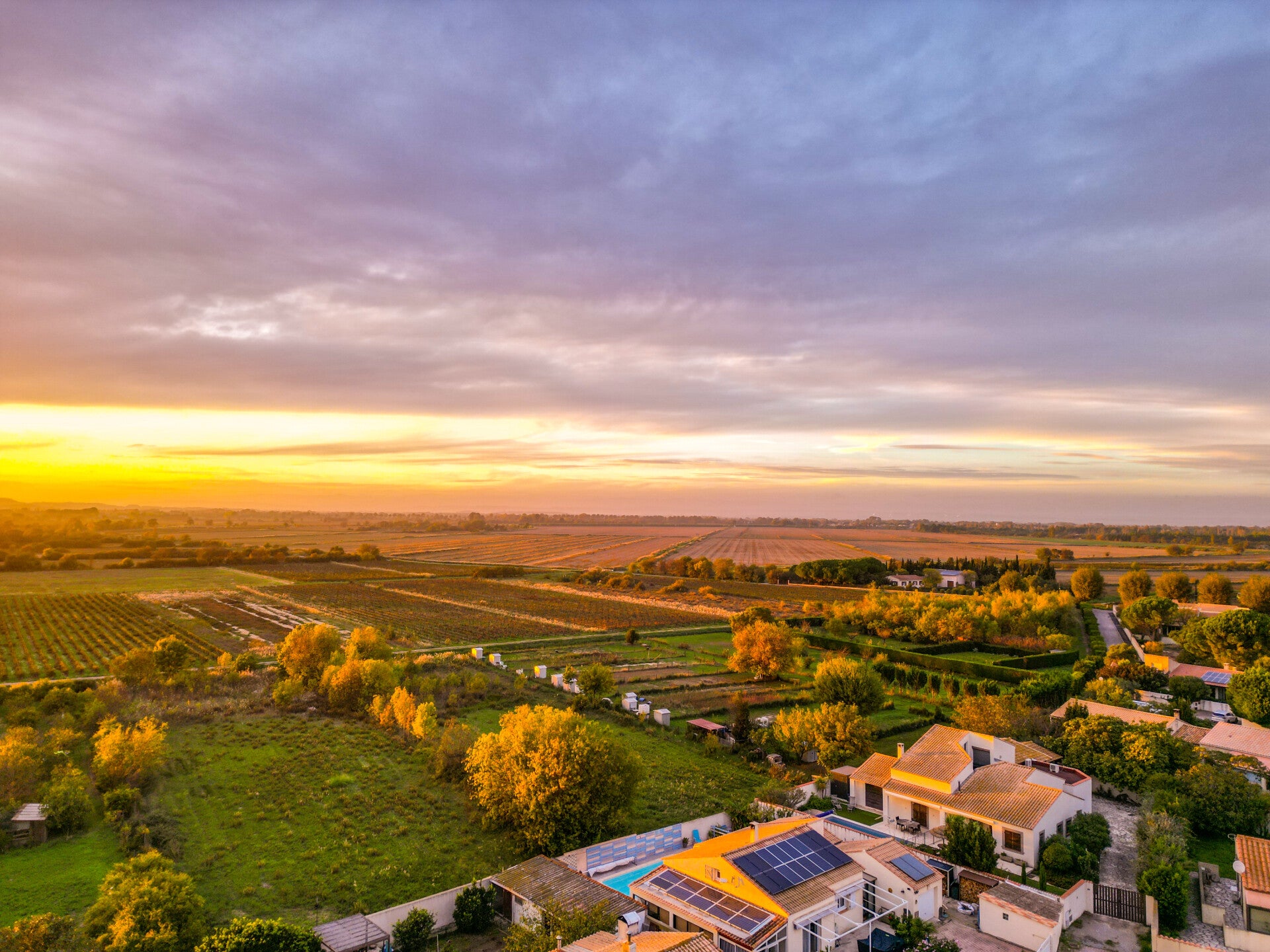 COUCHER DE SOLEIL SUR LES VIGNES (11)