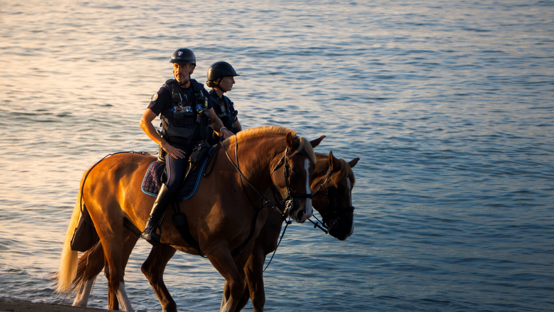 POLICE MUNICIPALE EQUESTRE DE CANNES (06)