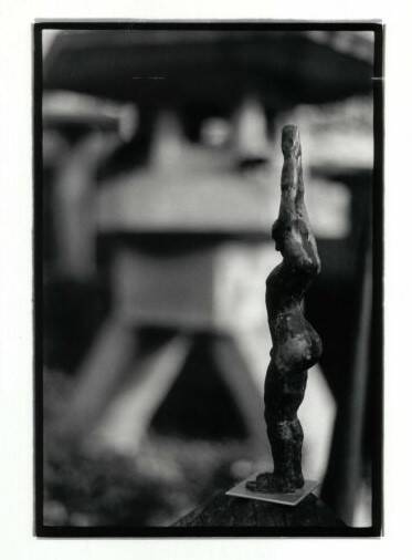 Zwemmer - foto Michel Goessens