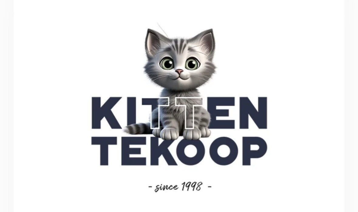 Betrouwbare cattery Brits korthaar