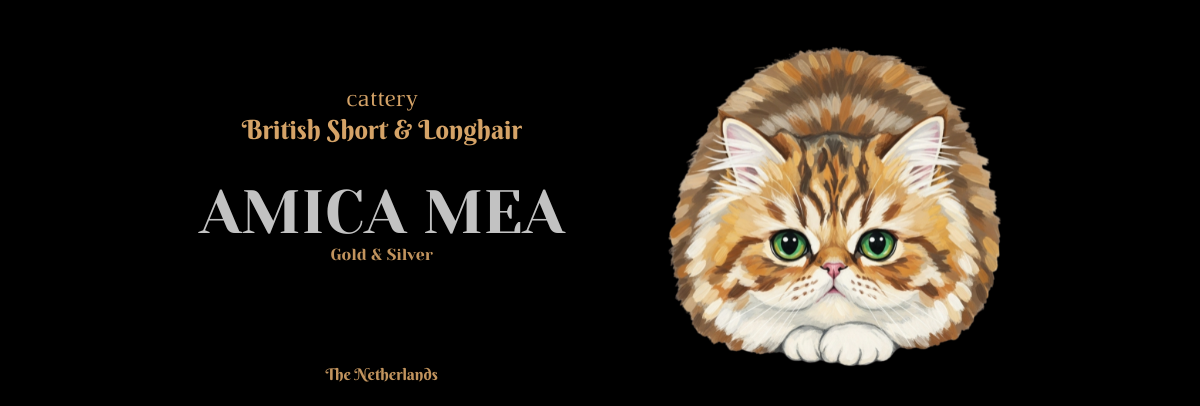 Betrouwbare cattery