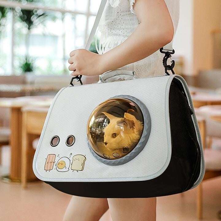 Luxury PU Foldable Pet Carrier Bag