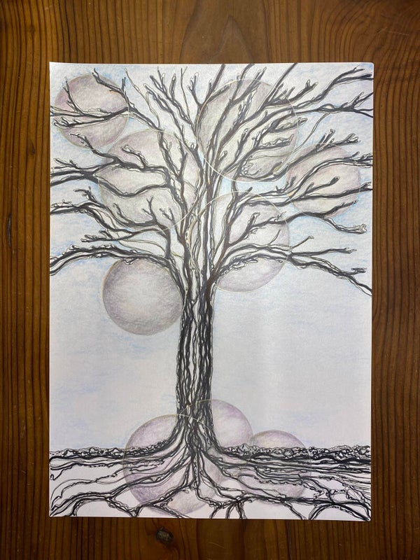 DIE KÜHLE UND DIE ERKENNTNIS