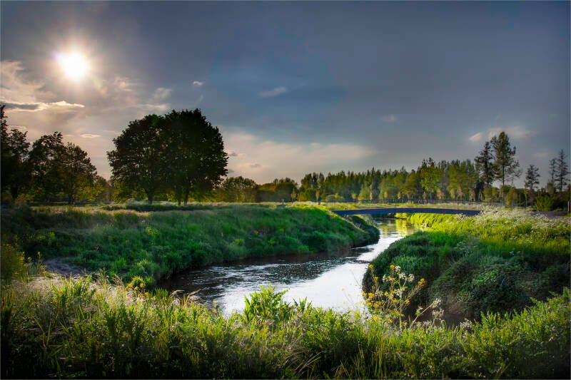 avondschemering_felix anthoon