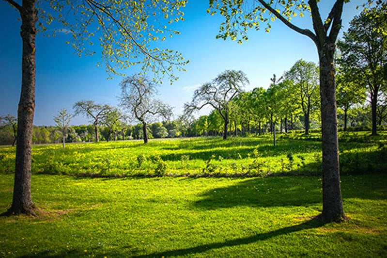 blauw geel groen_françois dewit