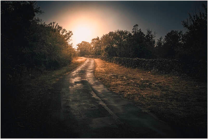 contre jour_jan berckmans