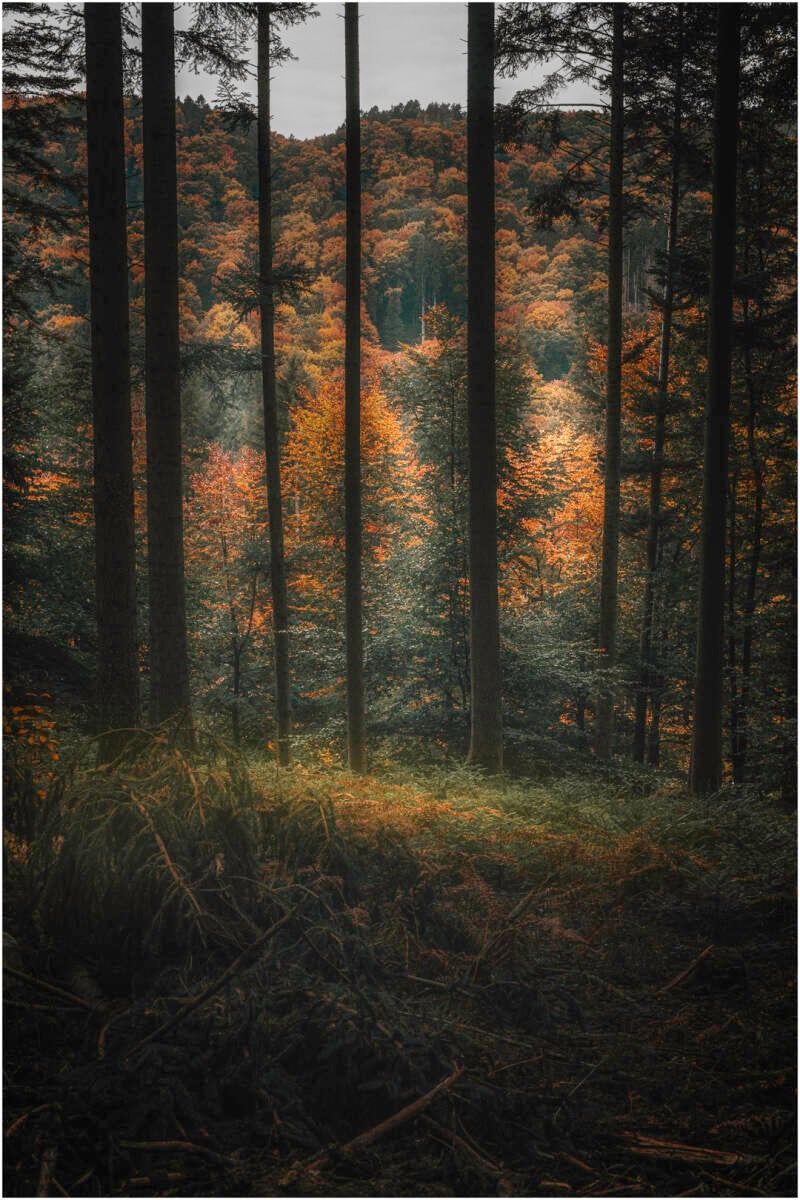 doorkijkje_jan berckmans