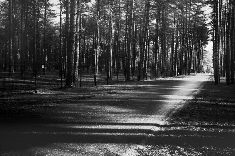 dreef_danny timmermans