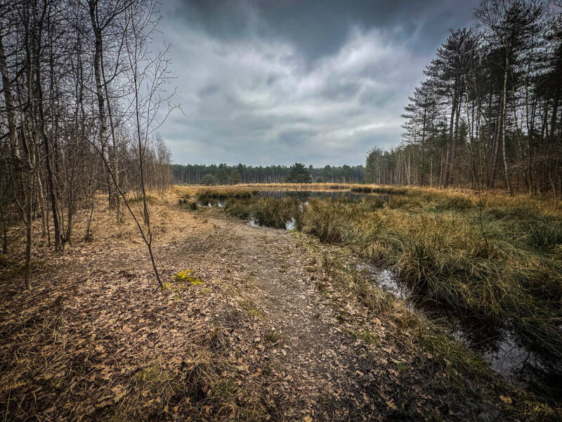 dreigend_stephan clerckx