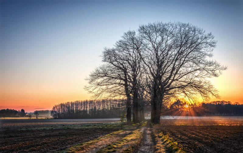 gr 5_jan berckmans
