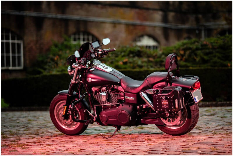 harley davidson_dirk deflem