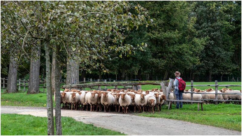 herder_dirk deflem