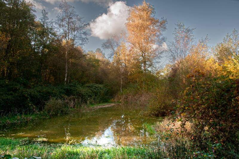 herfstlicht aan de-plas_eric simons