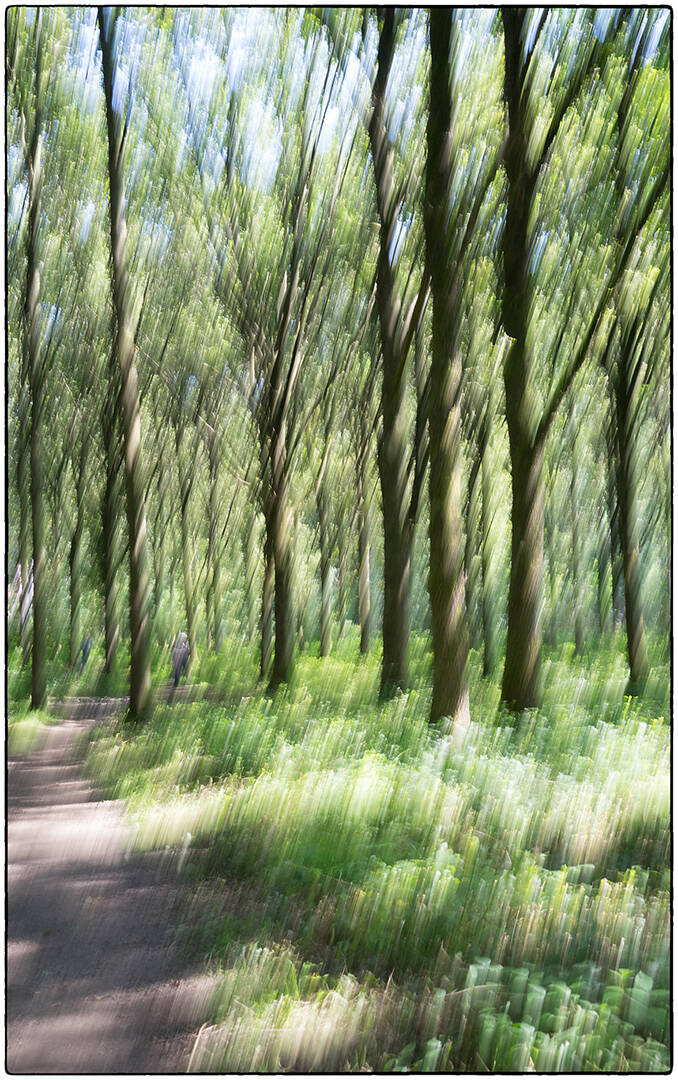 icm_renilde vos
