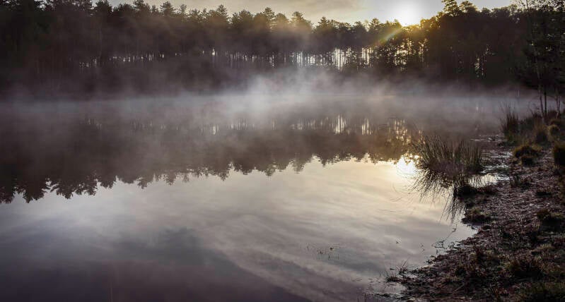 morgenstond_luc everaerts