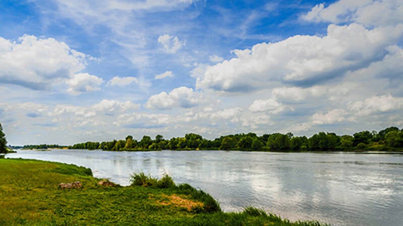 muides sur loire_françois dewit