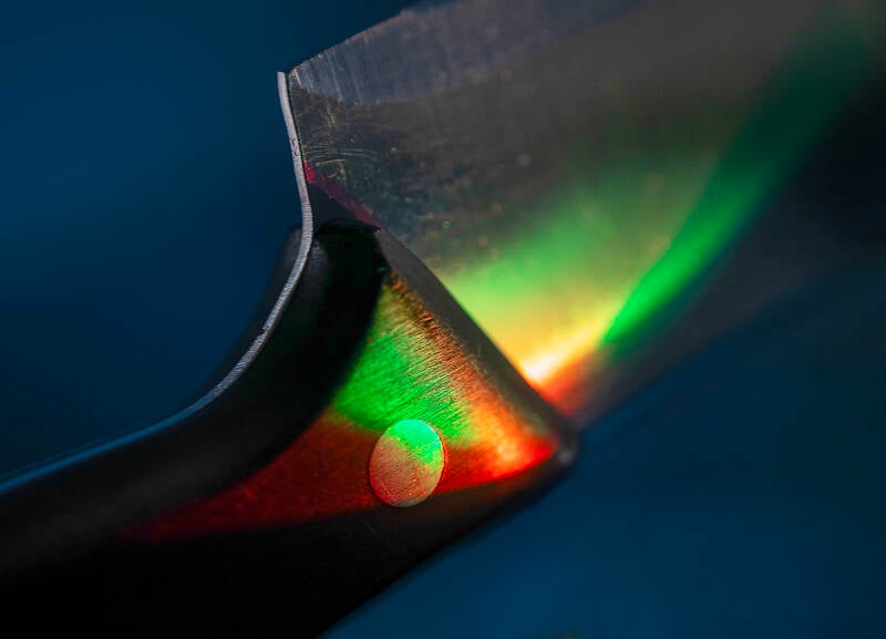 multicolor_renilde vos