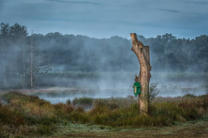 munninckxgoor_luc everaerts
