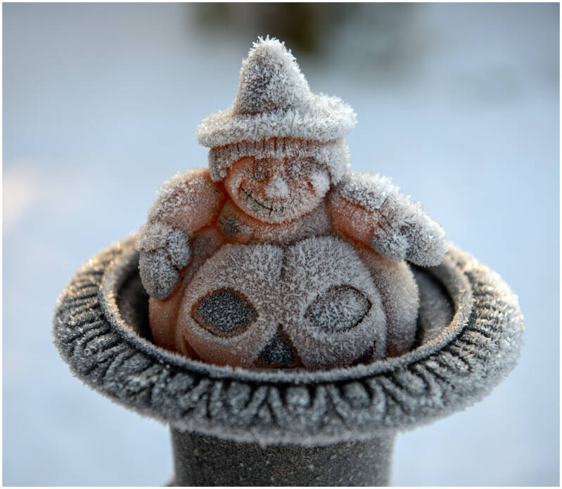 nachtvorst_dirk deflem