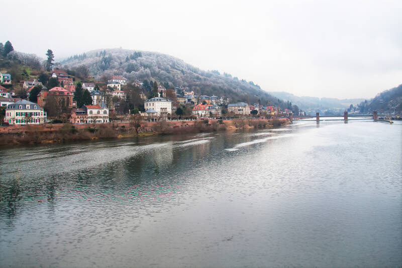 neckar_felix anthoon