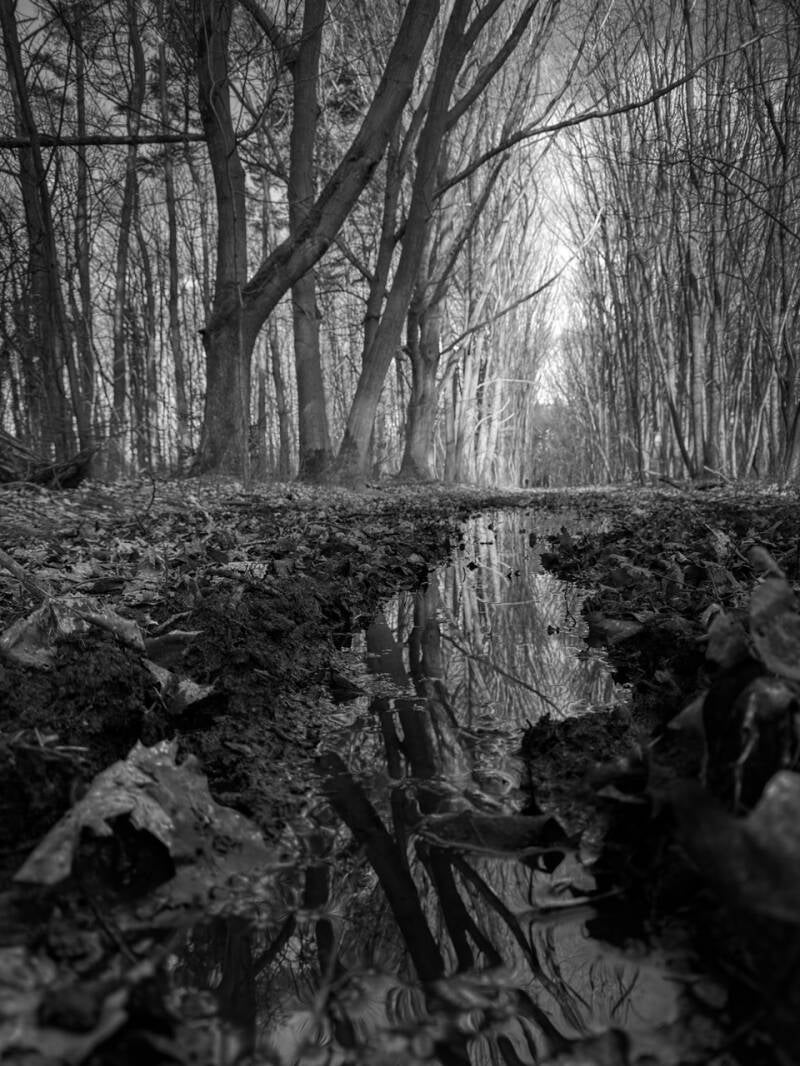 onderweg_stephan clerckx
