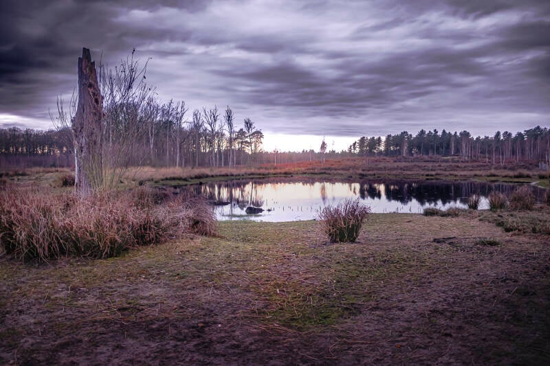 vuur_danny timmermans