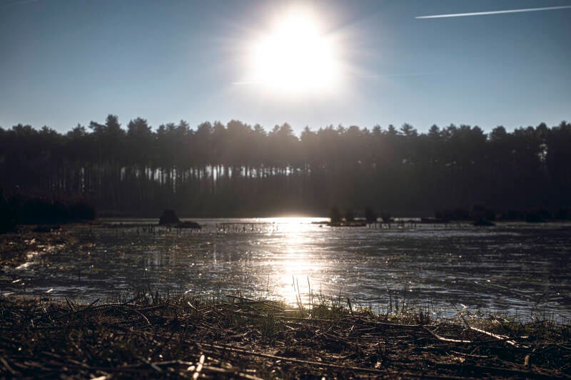 water_danny timmermans