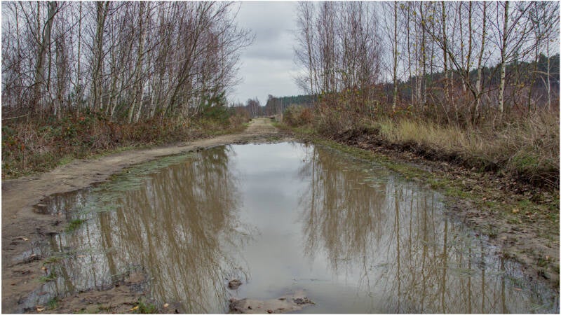waterplas_paul van nylen