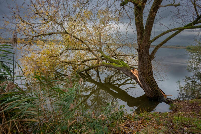 weerspiegeling_eric simons