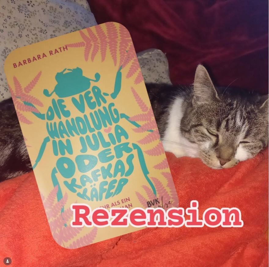 Screenshot mit Buchcover und Katze von Instagram: @kaffee_eule84 stellt "Die Verwandlung in Julia oder Kafkas Käfer" vor und vergibt dabei 5 Sterne.