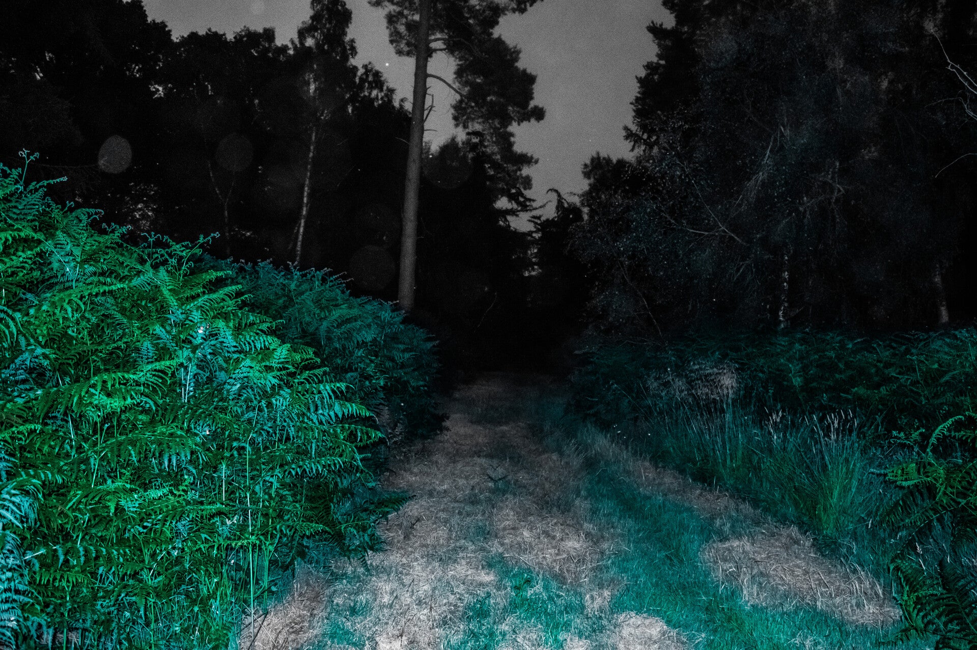 Dark Path