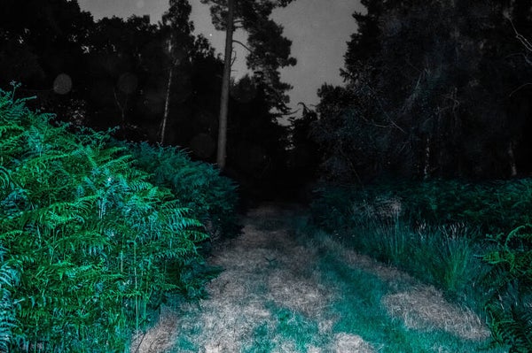 Dark Path