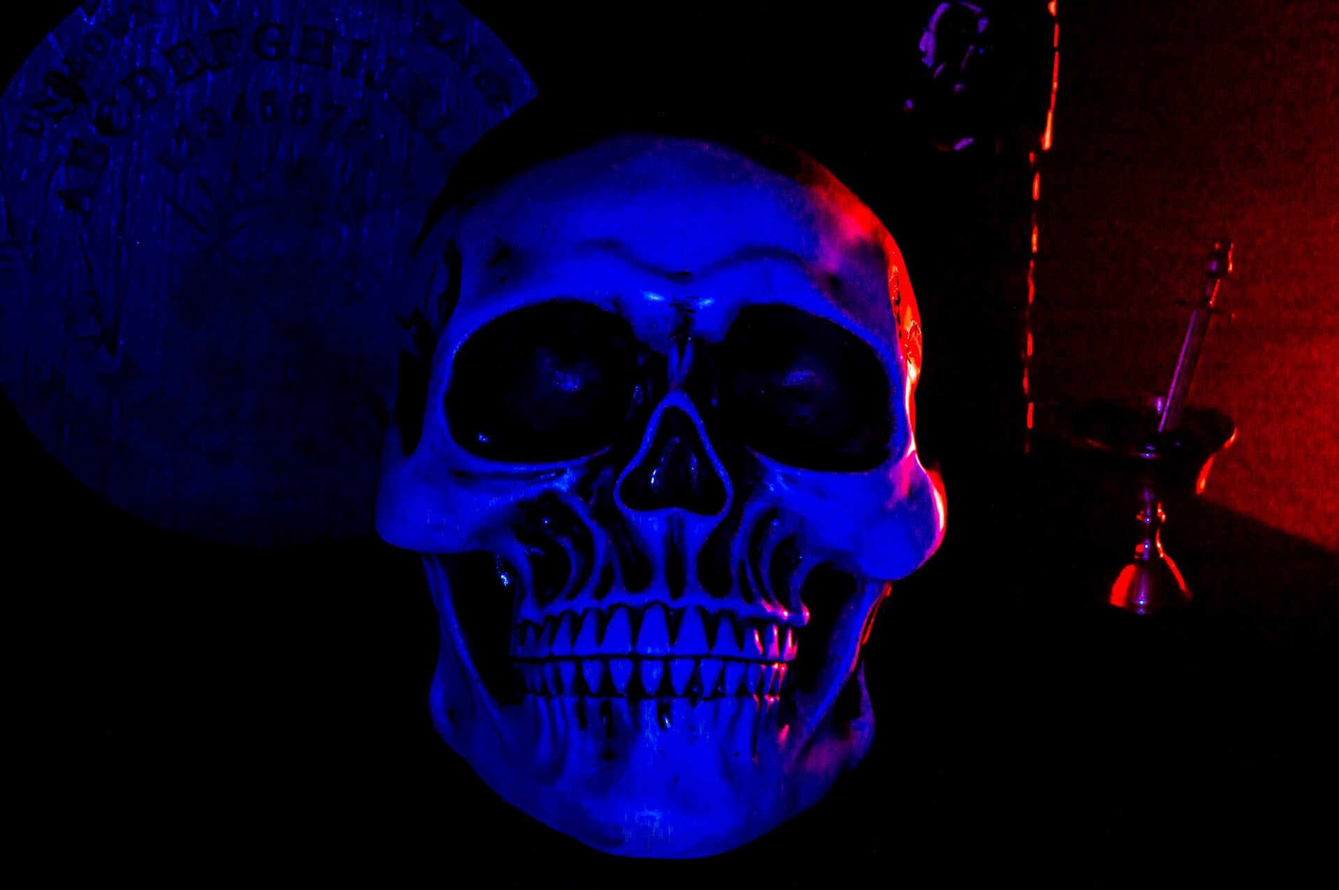 Skull Art