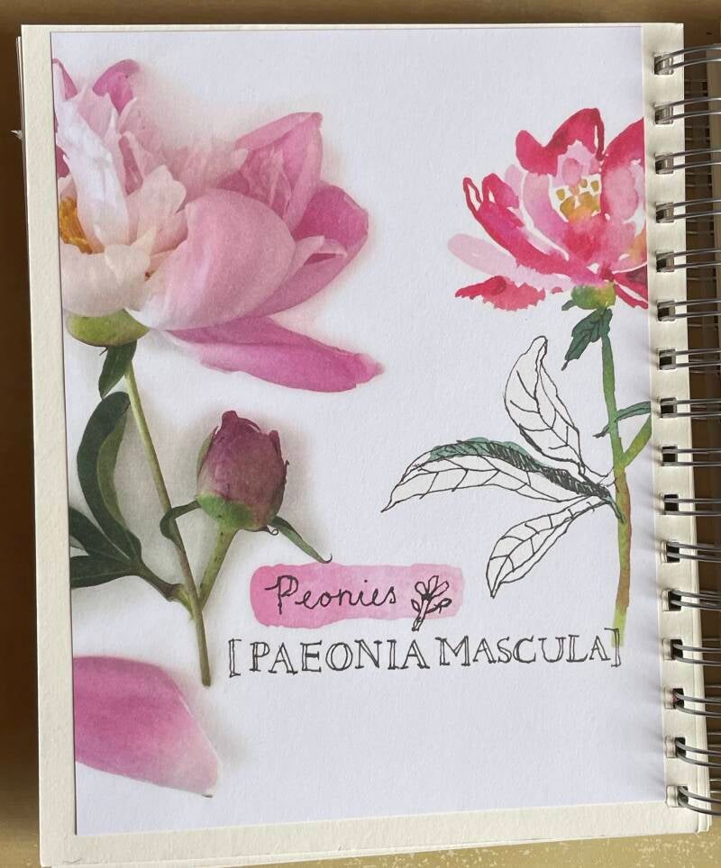 Journaling KW 18/2023 Flow-Blumen