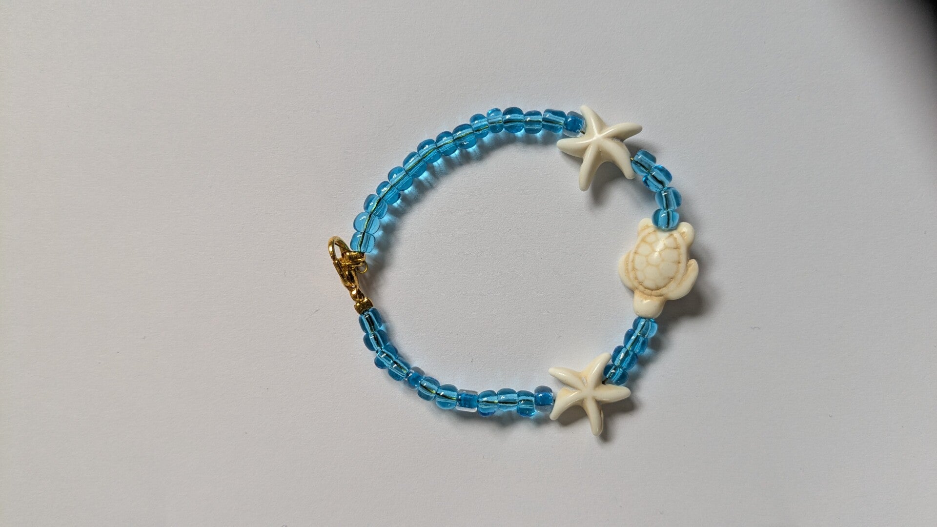 Ocean Turtle