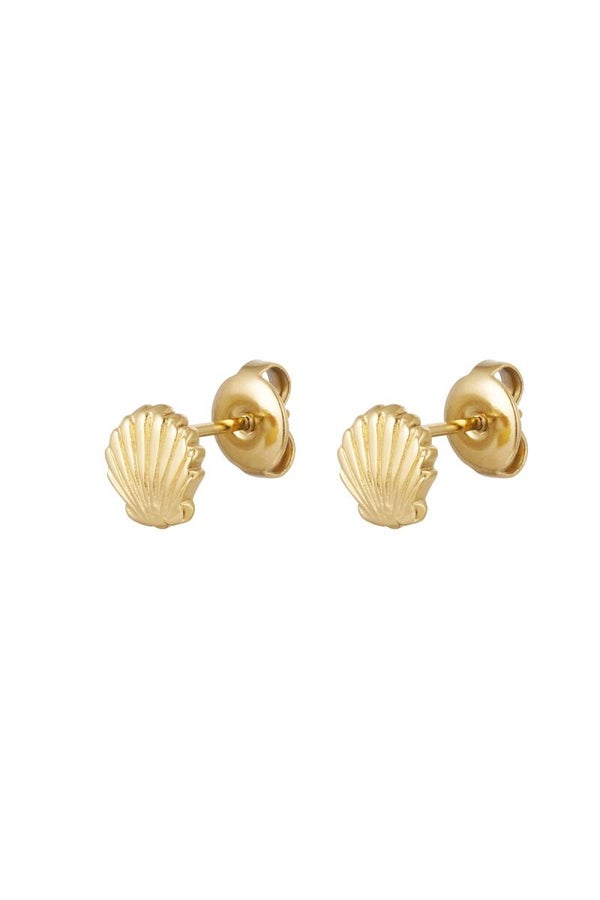 Shell studs