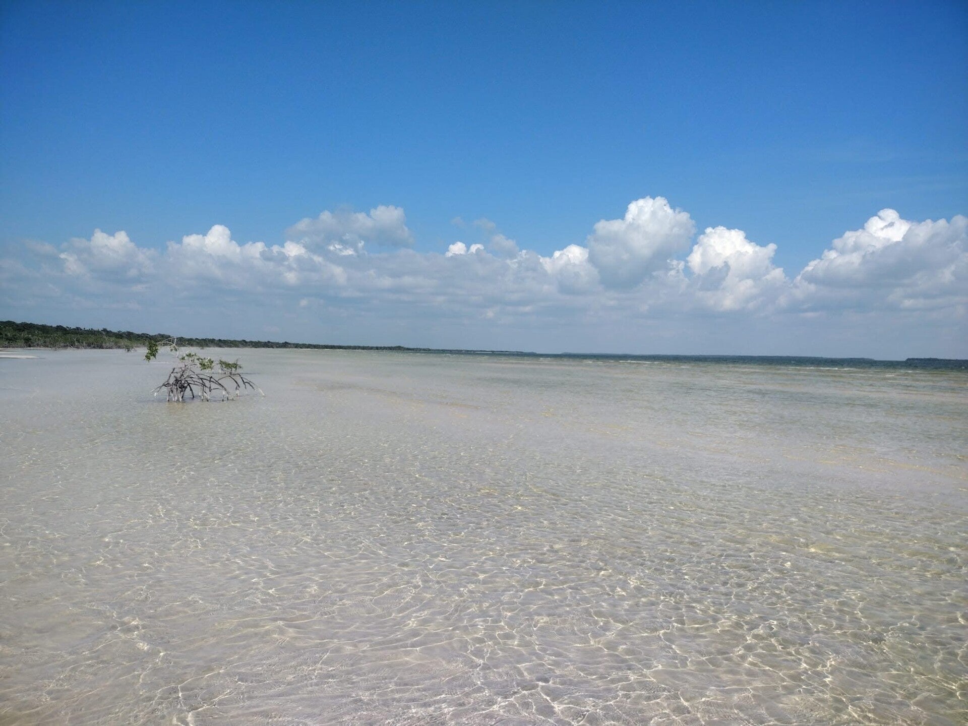Terreno Quintana Roo