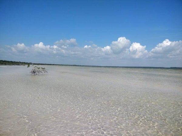Terreno Quintana Roo