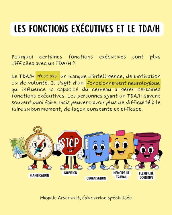 Les fonctions exécutives - TDA/H
