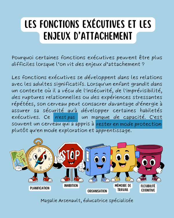 Les fonctions exécutives - enjeux d'attachement
