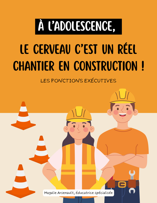 Le chantier du cerveau adolescent