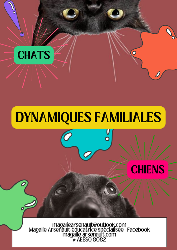 Dynamiques familiales chiens chats